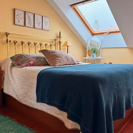 Fgdr323d Calma شقة سان بيفينتي ديلا باركيرا